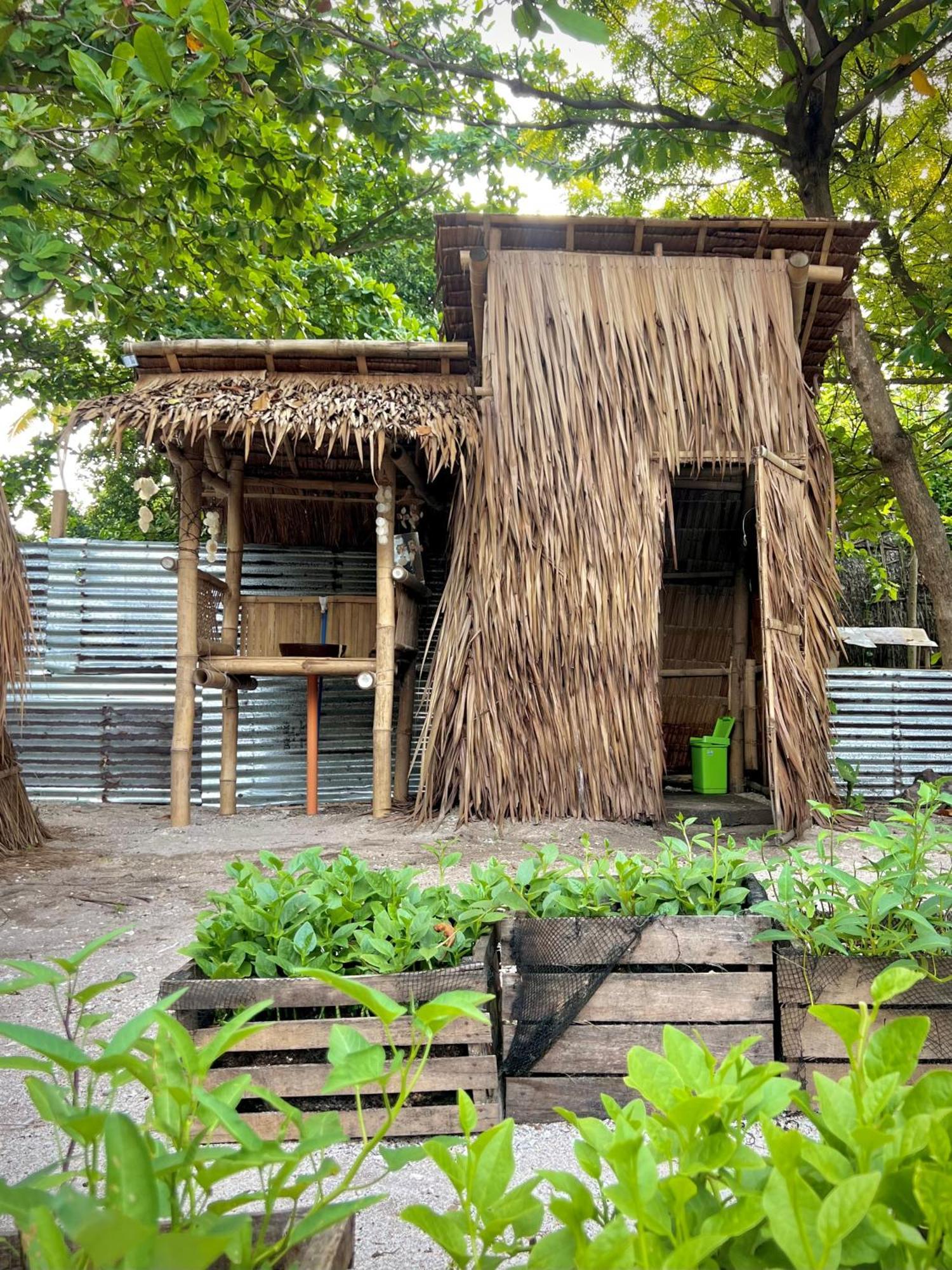 Tribal Huts Community Hostel Daanbantayan Szoba fotó