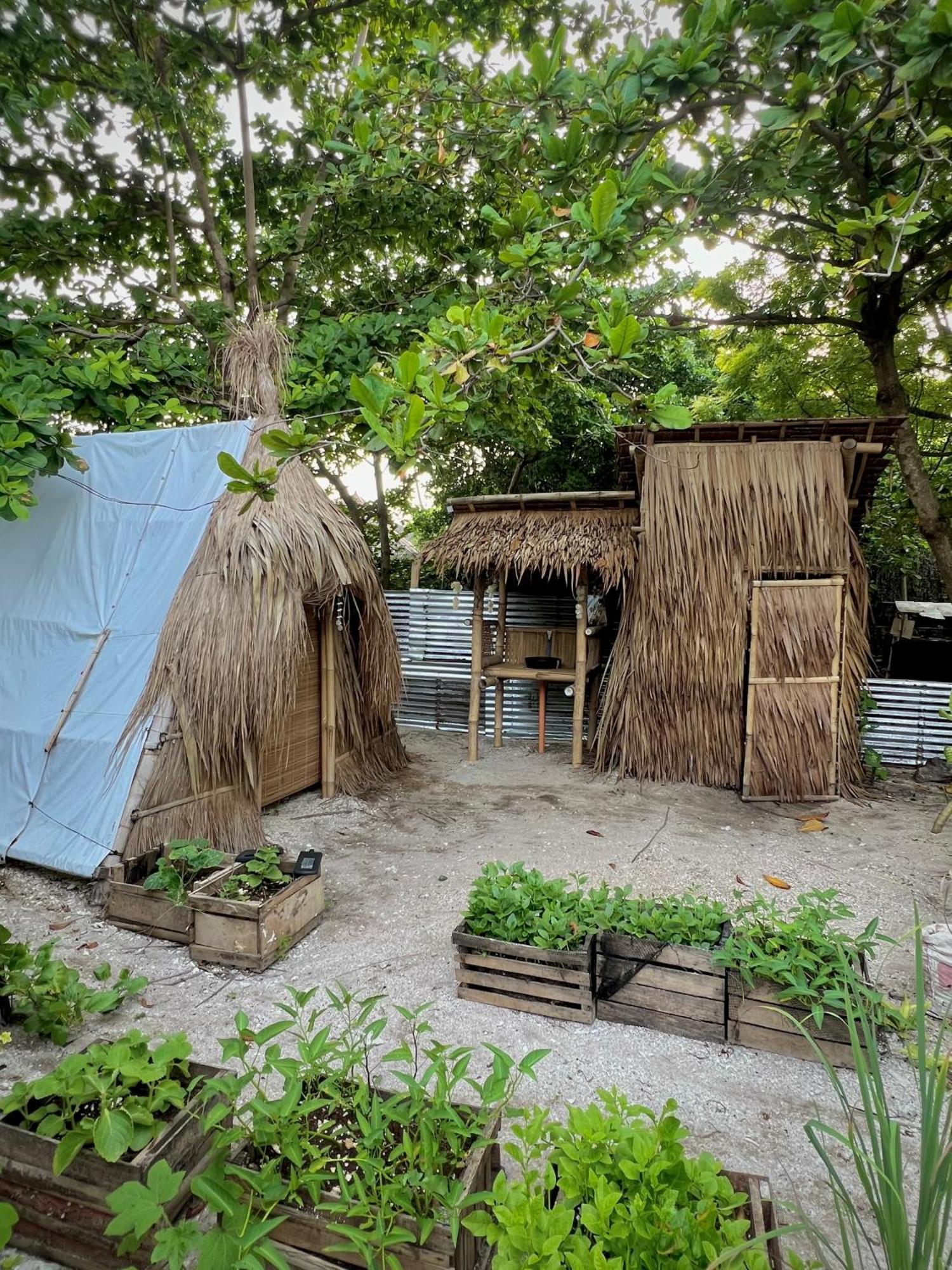 Tribal Huts Community Hostel Daanbantayan Kültér fotó